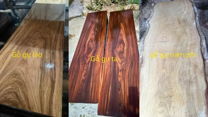 gỗ gụ